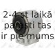 Подвеска, рычаг независимой подвески колеса FORTUNE LINE FZ90845