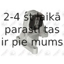 Piekare, Pārnesumkārba FORTUNE LINE FZ90843