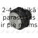 Piekare, Dzinējs FORTUNE LINE FZ90841