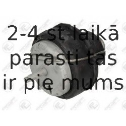 Piekare, Dzinējs FORTUNE LINE FZ90841