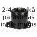 Piekare, Dzinējs FORTUNE LINE FZ90836