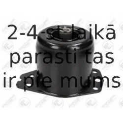 Piekare, Dzinējs FORTUNE LINE FZ90836