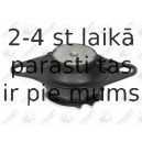 Piekare, Dzinējs FORTUNE LINE FZ90835