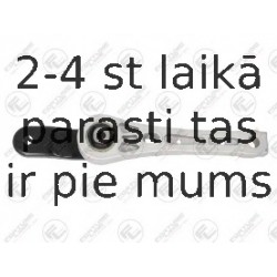 Piekare, Dzinējs FORTUNE LINE FZ90812