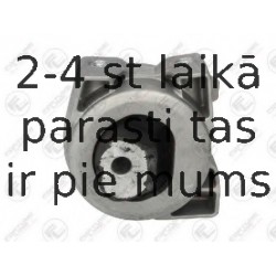 Piekare, Dzinējs FORTUNE LINE FZ90801