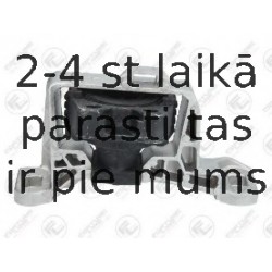 Kronšteins, Motora piekare FORTUNE LINE FZ90800