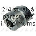 Piekare, Dzinējs FORTUNE LINE FZ90776