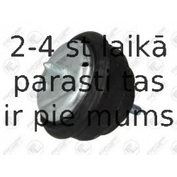 Подвеска, двигатель FORTUNE LINE FZ90767