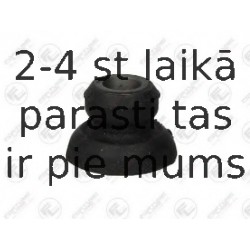 Piekare, Stūres iekārta FORTUNE LINE FZ90743