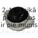 Подвеска, двигатель FORTUNE LINE FZ90713