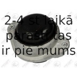 Подвеска, двигатель FORTUNE LINE FZ90713