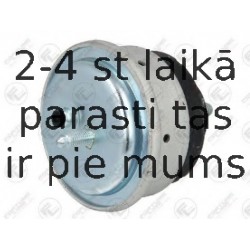 Подвеска, двигатель FORTUNE LINE FZ90697