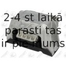 Piekare, Pārnesumkārba FORTUNE LINE FZ90694