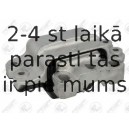 Piekare, Pārnesumkārba FORTUNE LINE FZ90669