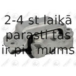 Piekare, Pārnesumkārba FORTUNE LINE FZ90669