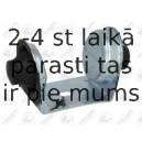 Kronšteins, Motora piekare FORTUNE LINE FZ90662