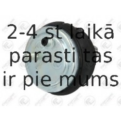 Подвеска, двигатель FORTUNE LINE FZ90649
