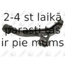 Neatkarīgās balstiekārtas svira, Riteņa piekare FORTUNE LINE FZ6750