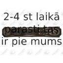 Neatkarīgās balstiekārtas svira, Riteņa piekare FORTUNE LINE FZ6743