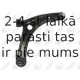 Neatkarīgās balstiekārtas svira, Riteņa piekare FORTUNE LINE FZ6742