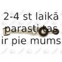 Neatkarīgās balstiekārtas svira, Riteņa piekare FORTUNE LINE FZ6737
