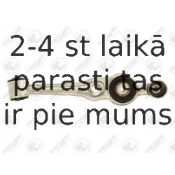 Neatkarīgās balstiekārtas svira, Riteņa piekare FORTUNE LINE FZ6737