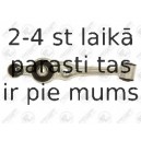 Neatkarīgās balstiekārtas svira, Riteņa piekare FORTUNE LINE FZ6736