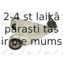 Neatkarīgās balstiekārtas svira, Riteņa piekare FORTUNE LINE FZ6734