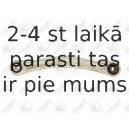 Neatkarīgās balstiekārtas svira, Riteņa piekare FORTUNE LINE FZ6733