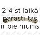Neatkarīgās balstiekārtas svira, Riteņa piekare FORTUNE LINE FZ6732
