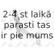 Neatkarīgās balstiekārtas svira, Riteņa piekare FORTUNE LINE FZ6712