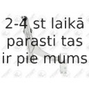 Neatkarīgās balstiekārtas svira, Riteņa piekare FORTUNE LINE FZ6712