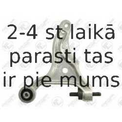 Neatkarīgās balstiekārtas svira, Riteņa piekare FORTUNE LINE FZ6505