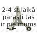 Neatkarīgās balstiekārtas svira, Riteņa piekare FORTUNE LINE FZ6504