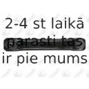 Neatkarīgās balstiekārtas svira, Riteņa piekare FORTUNE LINE FZ5780