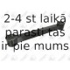 FORTUNE LINE FZ5775