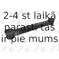 FORTUNE LINE FZ5775