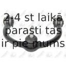 Neatkarīgās balstiekārtas svira, Riteņa piekare FORTUNE LINE FZ5771