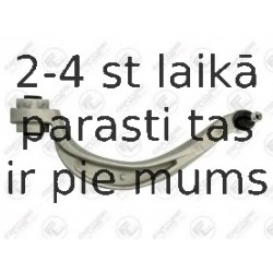 Neatkarīgās balstiekārtas svira, Riteņa piekare FORTUNE LINE FZ5767