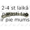 Neatkarīgās balstiekārtas svira, Riteņa piekare FORTUNE LINE FZ5765