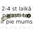 Neatkarīgās balstiekārtas svira, Riteņa piekare FORTUNE LINE FZ5764
