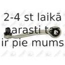 Neatkarīgās balstiekārtas svira, Riteņa piekare FORTUNE LINE FZ5763