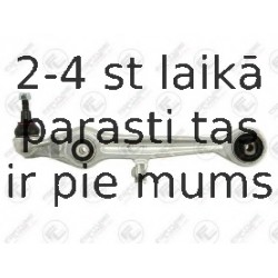 Neatkarīgās balstiekārtas svira, Riteņa piekare FORTUNE LINE FZ5742