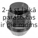 Riteņa stiprināsanas uzgrieznis FEBI BILSTEIN 46617