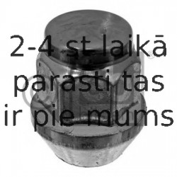 Riteņa stiprināsanas uzgrieznis FEBI BILSTEIN 46617