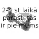 Тяга / стойка, стабилизатор FEBI BILSTEIN 41624