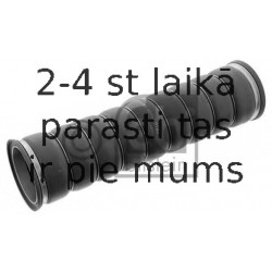 Pūtes sistēmas gaisa caurule FEBI BILSTEIN 40162