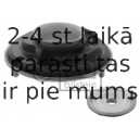 Atsperes atbalstplāksne FEBI BILSTEIN 38626