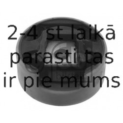 Piekare, Dzinējs FEBI BILSTEIN 38401