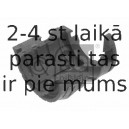 Piekare, Stabilizators FEBI BILSTEIN 31357